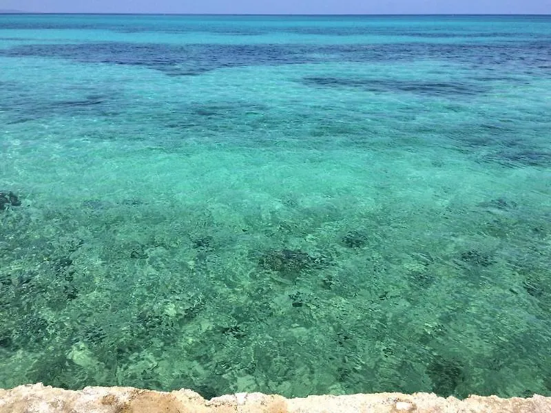 The Wexford Hotel Montego Bay